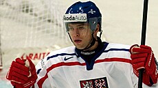 David Výborný se raduje z �eského gólu proti Slovinsku na mistrovství sv�ta...