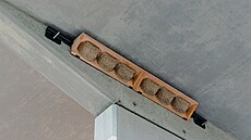 Um�lá hnízda jsou umíst�na pod mostní konstrukcí lávky nad autobusovým...