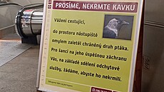 Netradi�ní upozorn�ní �eká na cestující u vstupu do stanice metra Kobylisy.