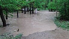 Zvý�ená hladina vodních tok� na Hodonínsku (17. kv�tna 2023)