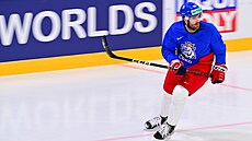 Útočník Martin Kaut nastoupí proti Kazachstánu na hokejovém mistrovství světa v...