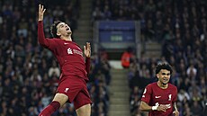 Curtis Jones z Liverpoolu oslavuje svj gól.