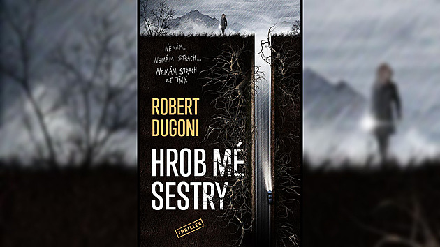 Vyšetřovatelka pátrá po vrazích vlastní sestry. Thriller v e-knize zdarma