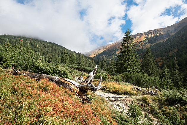 Slovensku hrozí zlatá horečka. Nový Klondike se jmenuje Žiar nad Hronom