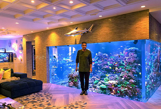 Proměnil svůj dům na obří akvárium. Úspěšný finančník zachraňuje korály
