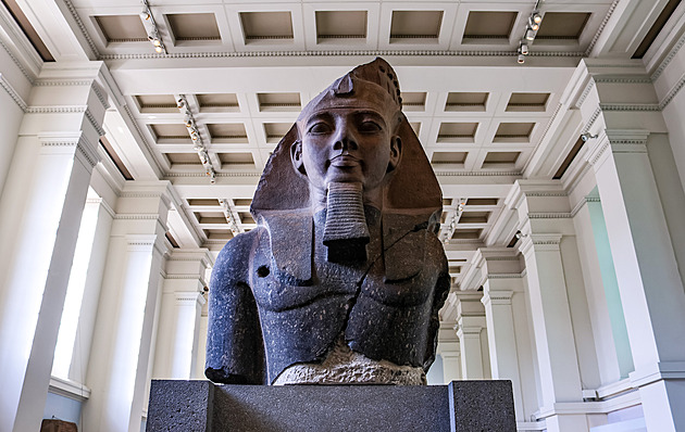 Mumie, dinosauří kosti, zkažené maso. Jaké poklady ukrývají londýnská muzea