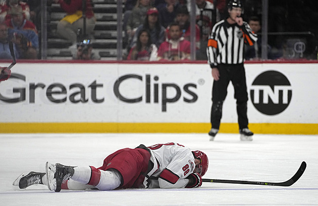 Nečas o potyčce na střídačce: Schválně mi zlomil hokejku, tak jsem mu jednu vrazil