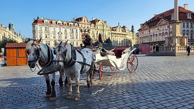 <p>Koňské spřežení v ranních hodinách na Staroměstském náměstí. Kočí čeká na své pasažéry. </p>