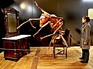 Výstava MegaBrouci láká návtvníky i na hmyz v nadivotní velikosti,...