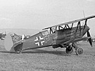 Avia B.534 verze IV v barvách Luftwaffe