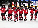 Kanadtí hokejisté se radují z postupu do finále mistrovství svta.