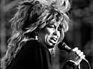 Zpvaka Tina Turner (3. ervence 1987)