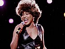 Zpvaka Tina Turner (27. íjna 1993)
