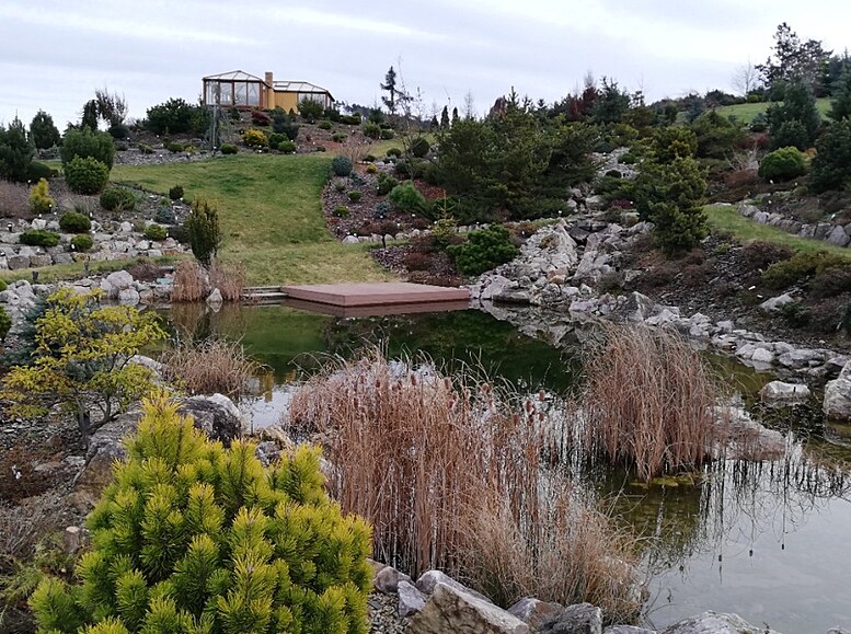 Arboretum je ur�eno p�evá�n� pro zakrslé jehli�nany.  V sou�asné dob� zde...