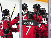 Radost hokejistů Kanady z povedené trefy do německé branky ve finálovém utkání...