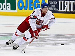 Hokejový útoník Martin Rika.