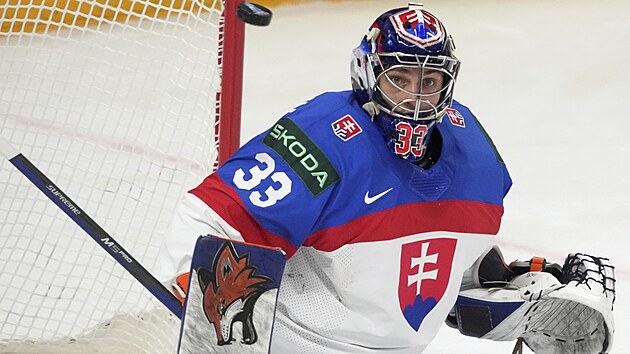 Slovenský branká Stanislav korvánek bhem zápasu s Norskem.