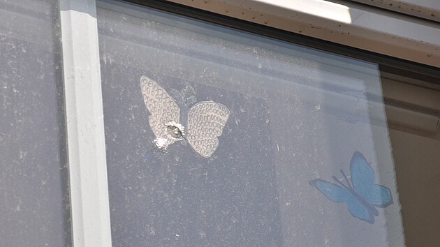 V oknech jsou patrn� d�ry po st�el�ch.