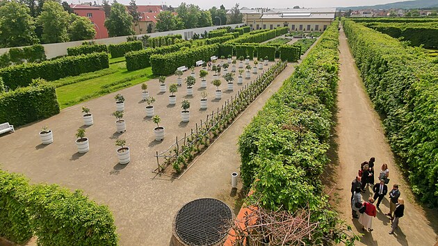 Kvtn zahrada v Kromi (kvten 2023)