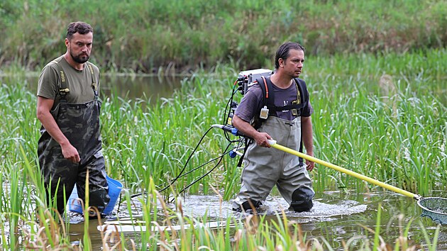 Hydrobiolog Petr Hanzlík (vlevo) společně s kolegou ze společnosti Enki se připravují na odlov ryb
agregátem na rybníku Šindelka v chráněné krajinné oblasti Brdy.