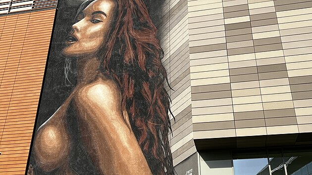 Na fasádě teplického obchodního centra se objevila velkoplošná malba muže, který si říká JW MindStriker. Reakce lidí na odhalenou ženu jsou rozpačité.