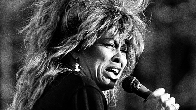 Zpvaka Tina Turner (3. ervence 1987)