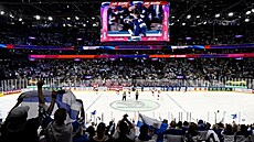 Fin�tí fanou�ci slaví gól svého týmu.