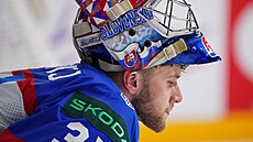 Zklamaný slovenský branká� Samuel Hlavaj po inkasované brance