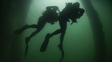 Písluníci amerického námonictva SEALs bhem cviení podvodních potápských...