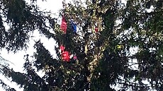 Záchrana paraglidisty, který uvázl v korun stromu pod kopcem Zviina na...