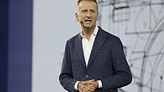 Bývalý �éf Herbert Diess nedokázal vy�e�it dlouhodobé problémy v softwarové...