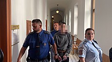 Pětadvacetiletý D. N. přichází do soudní síně Krajského soudu v Plzni. (29....