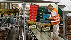 Nová tídika vratných lahví v Plzeském Prazdroji. Dokáe strojov roztídit...