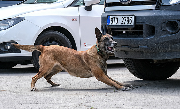 Policejní psovod nechal v horku psa v autě, ten uhynul. GIBS chystá obžalobu