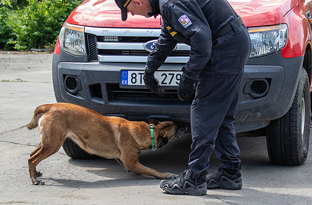 Psí specialisté. Bombaři musí být absolutně v klidu, drogaři nález vyštěkají