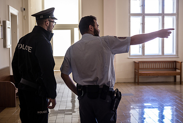 Odvolací senát potvrdil exposlanci Lubomíru Volnému dvouletý podmíne�ný trest...