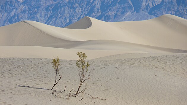 Písečné duny Mesquite Flat Sand Dunes