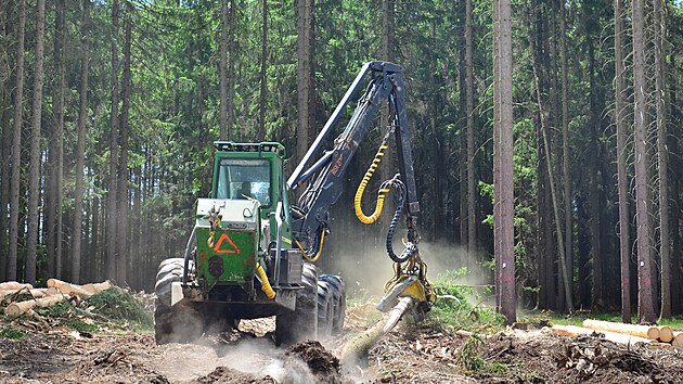 Cel zpracovn jednoho stromu trv asi jednu minutu. Harvestor je stroj, kter lesnkm pomh a neuvitelnm zpsobem.