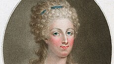 Ve své dob� si je zamilovala francouzská královna Marie Antoinetta. Pr�hledné...