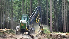 Celé zpracování jednoho stromu trvá asi jednu minutu. Harvestor je stroj, který...