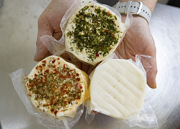 Z dojení udělali umění. Kravín v Ohařích patří k nejmodernějším v zemi