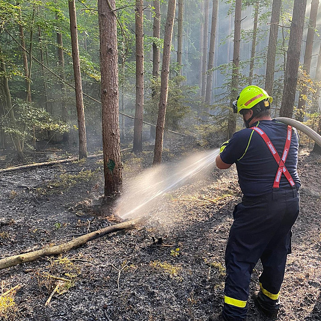 Požár na Kokořínsku zasáhl hektar lesa, hasiči potřebovali třísetmetrové hadice