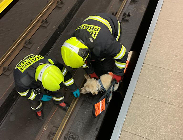 Metro B hodinu stálo, do kolejí spadla nevidomá žena s vodicím psem