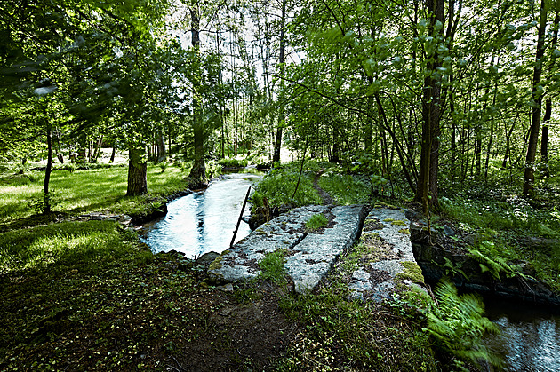 Zahradě u hrázděného domu dali maximální svobodu a ona jim to vrací
