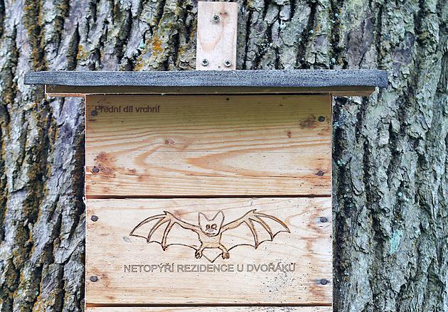 Spousta květů, vůní a hmyzu, to je přírodní zahrada manželů Dvořákových