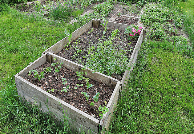 Tři výjimečné zahrady přivítají návštěvníky a odhalí jim své skryté poklady