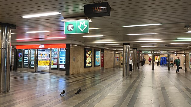 <p>Na stanici metra Můstek jsem dnes ráno ve vestibulu opět viděl mnoho holubů. Příčinou je mnoho odpadků a drobků. Chtělo by to více uklízet. Odpadky z jídla mohou také lákat potkany.</p>