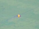 Zábry z dronu ukazují výbuch na neidentifikovaném míst poté, co ministerstvo...