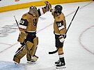 Adin Hill a Nicolas Hague po druhé výhe Vegas ve finále NHL.