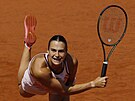Bloruska Aryna Sabalenková bhem semifinále Roland Garros.